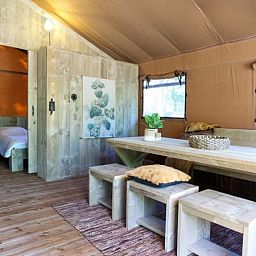 Unterkunft 461238 • Zelthaus IJsselmeerkust • Lodgetent  • 2 von 10