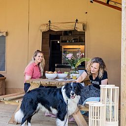 Enjoy yourself on the terrace of De Bos Tent, an attractive glamping lodge in Huizen, IJsselmeer coast, North Holland, with a cozy outdoor area.