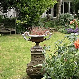 Groene tuin bij Vakantiehuis in Edam, ideaal voor ontspanning in IJsselmeerkust, Noord-Holland.