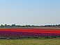 Verblijf 463802 • Vakantiewoning IJsselmeerkust • Huisje in Oudendijk  • 13 van 17