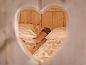 Guest house 470725 • Holiday property Waddenkust • Glamping Lodge  • 4 of 8