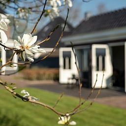 Verblijf 471304 - Vakantiewoning Waddenkust - Vakantiehuisje in Breezand