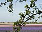 Unterkunft 480316 • Ferienhaus Noord-Holland noord • Vakantiehuisje in Oudesluis  • 11 von 21