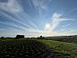 Guest house 480805 • Holiday property Noord-Holland noord • Vakantiehuis in Nieuwe Niedorp  • 12 of 14