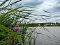 Guest house 480805 • Holiday property Noord-Holland noord • Vakantiehuis in Nieuwe Niedorp  • 14 of 14