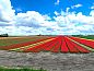 Verblijf 482003 • Vakantiewoning Noord-Holland noord • Kolibrie  • 12 van 12