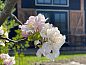Verblijf 482408 • Vakantiewoning Noord-Holland noord • Vakantiehuis in Tuitjenhorn  • 8 van 26