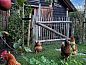 Verblijf 482408 • Vakantiewoning Noord-Holland noord • Vakantiehuis in Tuitjenhorn  • 10 van 26