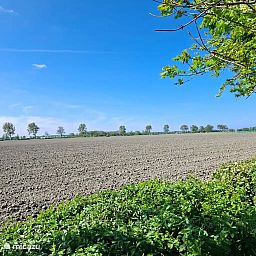 Guest house 482413 - Holiday property Noord-Holland noord - Het vrije uitzicht / nabij Schoorl