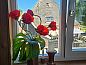 Verblijf 482806 • Vakantiewoning Noord-Holland noord • Vakantiehuis in Hoogwoud  • 8 van 13