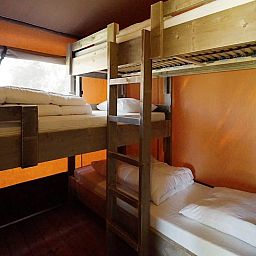 Unterkunft 483761 - Zelthaus Noord-Holland noord - Glampingtent Desert