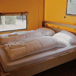 Verblijf 483762 - Tenthuis Noord-Holland noord - Glampingtent Sunshine