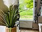 Guest house 483802 • Holiday property Noord-Holland noord • Vakantiehuis in Waarland  • 7 of 24