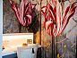 Guest house 484204 • Apartment Hart van Brabant • Golden Tulip Hotel Central  • 6 of 26