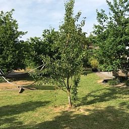 Verblijf 4842122 - Vakantiewoning Noord-Holland noord - Vakantiehuis in Schoorl