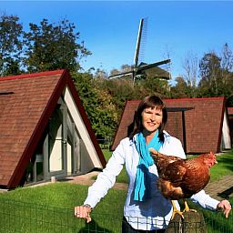 Gast mit Huhn in der Huette in Aartswoud, mit der beruehmten Muehle im Hintergrund.