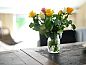Guest house 491716 • Holiday property Noord-Holland midden • Vakantiehuis in Grootschermer  • 5 of 26