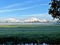 Guest house 510132 • Holiday property Amsterdam eo • Vakantiehuisje in Amsterdam  • 10 of 26