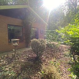 Vorgarten des Huisje in Nutter, Ferienhaus in Nutter, Twente, mit natuerlicher Vegetation.