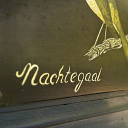 Unterkunft 520221 - Ferienhaus Twente - Vakantiehuisje in Nutter