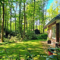 Vakantiehuis in Nutter, serene tuin van vakantiehuis in Twente, Overijssel, omringd door bos.
