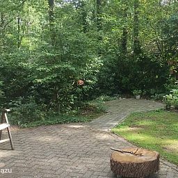 Guest house 520241 - Bungalow Twente - De IJsvogel