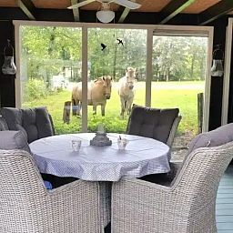 Verblijf 520245 - Chalet Twente - Huisje Weltevree