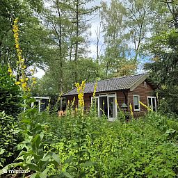 Unterkunft 520252 - Ferienhaus Twente - Blij Buiten