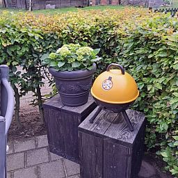 Detail van barbecue en planten op het terras van Huisje in Den Ham, een vakantiehuis in Twente.