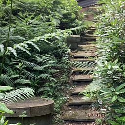 Sfeervol pad door de natuur rondom vakantiehuis in de Lutte, Twente, Overijssel.