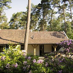Ferienhaus in De Lutte, Twente, umgeben von Natur und Blumen, ideal zum Entspannen in der rustikalen Umgebung von Overijssel.