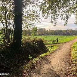 Verblijf 520559 - Vakantiewoning Twente - LaansHuuske