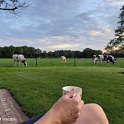Verblijf 520565 - Vakantiewoning Twente - Erve Beertke