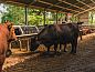 Guest house 520702 • Holiday property Twente • Vakantiehuis in Wierden  • 12 of 18