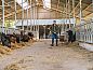 Guest house 520702 • Holiday property Twente • Vakantiehuis in Wierden  • 14 of 18