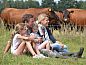Verblijf 520703 • Vakantiewoning Twente • Vakantiehuis in Wierden  • 14 van 22