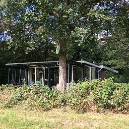 Mapadodo Ferienhaus in Nutter, Twente, umgeben von ppiger Natur und Bumen.
