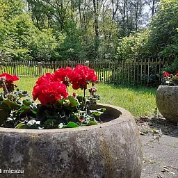 Verblijf 520834 - Bungalow Twente - Zonneheuvel