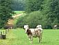 Verblijf 520912 • Vakantiewoning Twente • Vakantiehuis in Hezingen  • 8 van 15