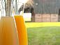 Guest house 521002 • Holiday property Twente • Vakantiehuisje in Beuningen  • 14 of 17