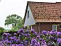 Verblijf 521019 • Vakantiewoning Twente • Huisje in Beuningen  • 13 van 18