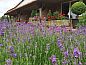 Guest house 521109 • Holiday property Twente • Vakantiehuis in Vasse  • 13 of 26