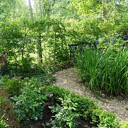 Guest house 521305 - Holiday property Twente - Vakantiehuisje in Overdinkel