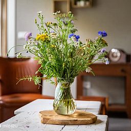 Guest house 521617 - Holiday property Twente - 't Veurhuus