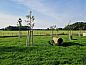 Guest house 521923 • Holiday property Twente • Vakantiehuisje in Ambt Delden  • 8 of 23
