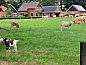 Guest house 522007 • Holiday property Twente • Huisje in Rossum  • 2 of 22