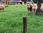 Guest house 522007 • Holiday property Twente • Huisje in Rossum  • 3 of 22