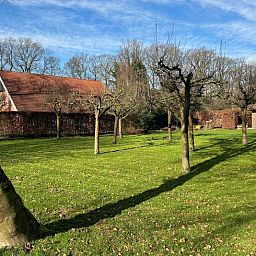 Rustikaler Garten im Huisje in Rossum, Ferienhaus in Twente, Overijssel, umgeben von Natur und rustikalem Obstgarten.