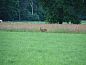 Guest house 522412 • Holiday property Twente • Vakantiehuis in Haaksbergen  • 11 of 20