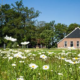 Cottage in Haaksbergen, a vacation home in Twente, Overijssel, surrounded by wild flowers and green nature for a relaxing stay.